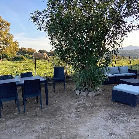 T2 Independant Avec Jardin Sarrola-Carcopino